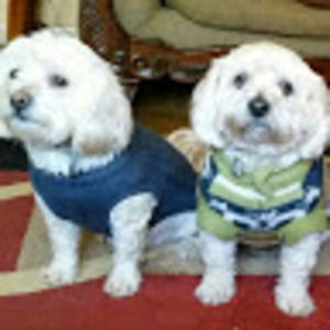 Meet your Posher, Dorrett